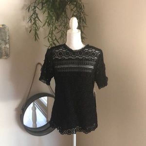 DR2 ( Daniel Rainn) top